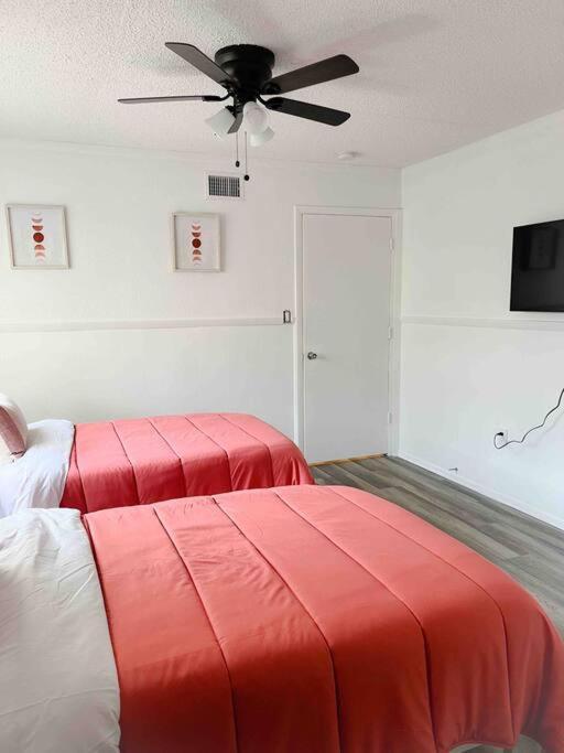 Sparkling Guest Home 2 Bedroom-15 Minutes To Clearwater Beach Екстер'єр фото